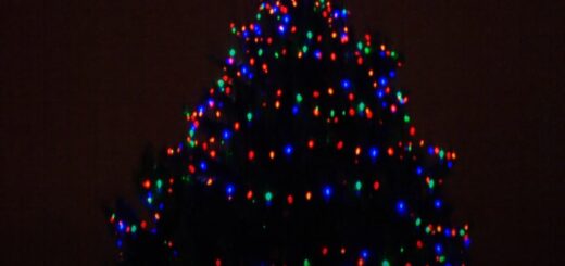 Robbinsdale Christmas Tree